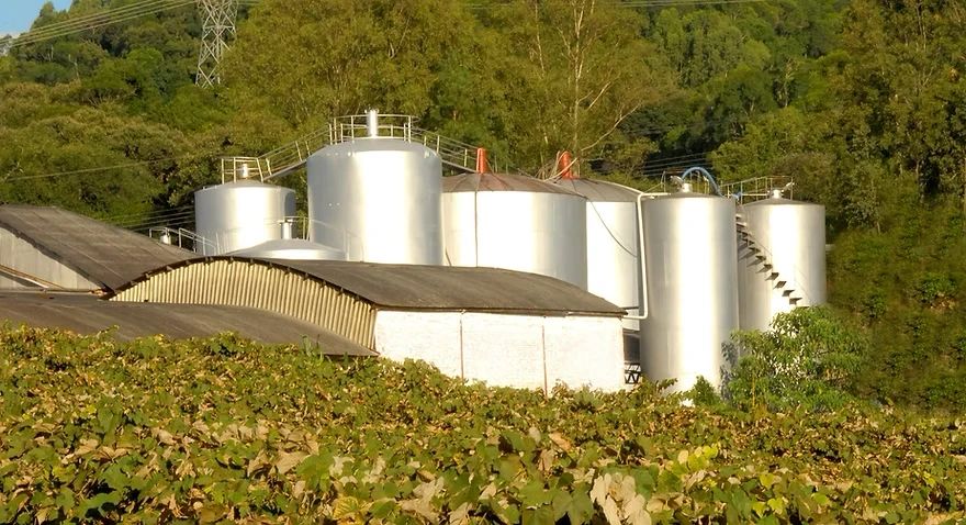 Vinhedo e tanques de vinificação da Risso na Serra Gaúcha, em Flores da Cunha
