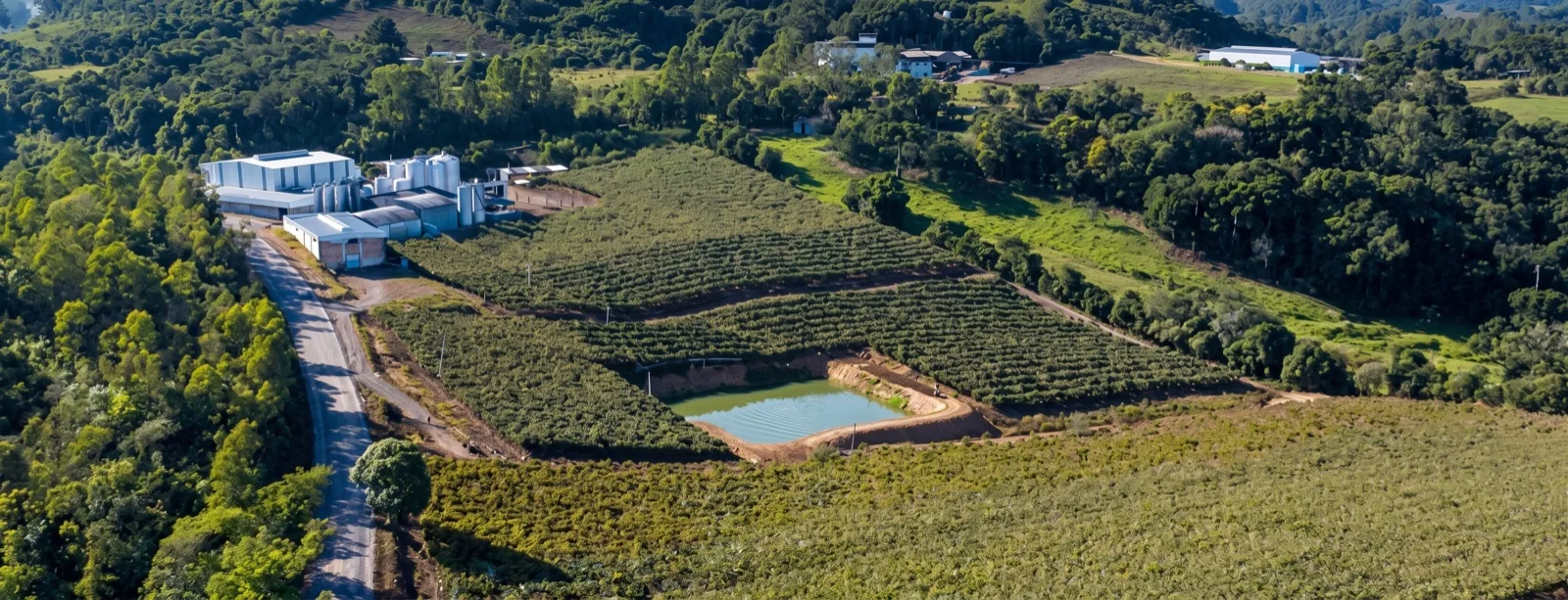 Vista aérea do parque fabril e dos vinhedos da Risso, com reservatório de água entre as plantações